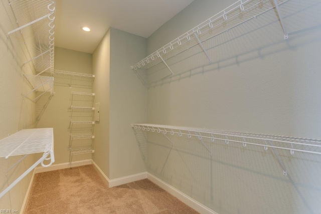 walk in closet featuring carpet flooring