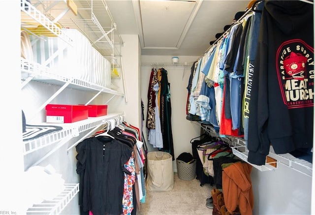 spacious closet with attic access and carpet flooring