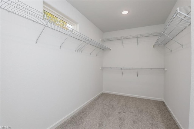 spacious closet featuring light carpet