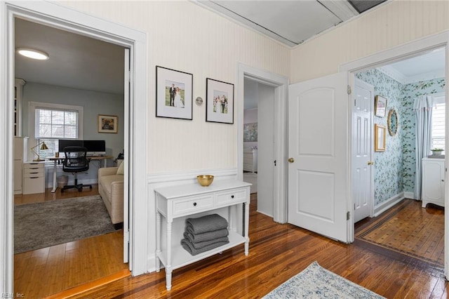 hall featuring wallpapered walls, crown molding, plenty of natural light, and dark wood finished floors