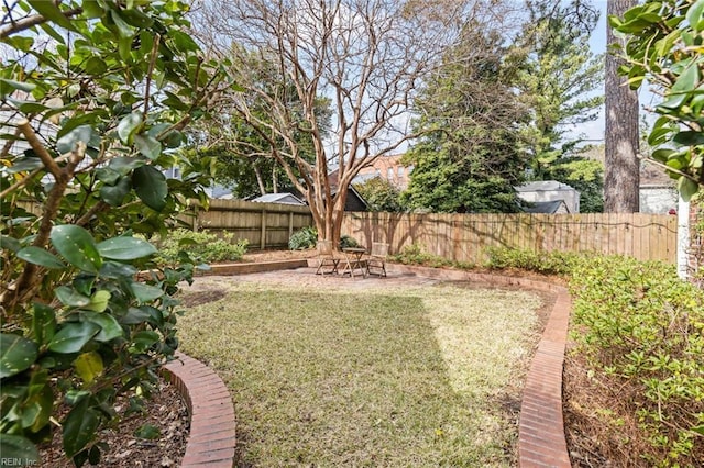 view of yard with a patio area and a fenced backyard