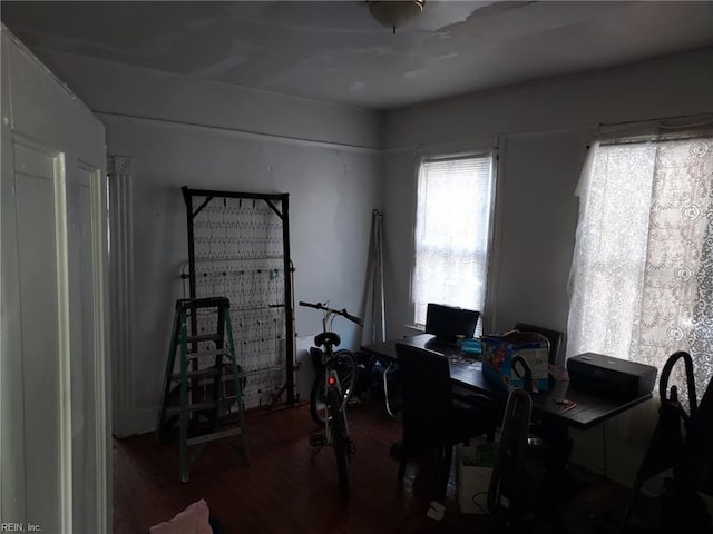 office featuring wood finished floors