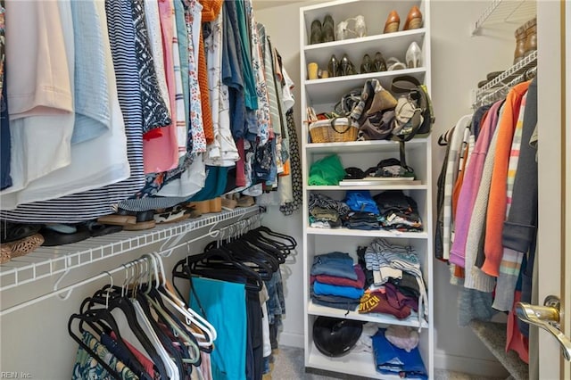 view of spacious closet