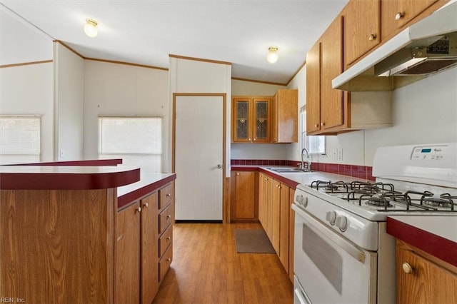 kitchen with under cabinet range hood, brown cabinets, gas range gas stove, and a sink