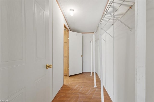 hallway with light wood finished floors