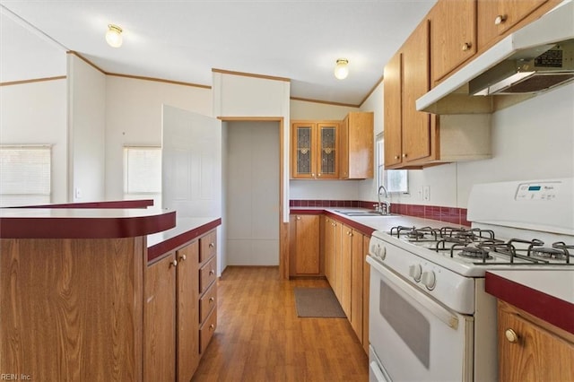 kitchen featuring under cabinet range hood, light wood-style floors, brown cabinetry, and gas range gas stove