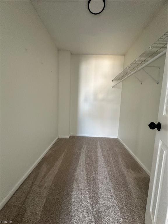 spacious closet with carpet flooring