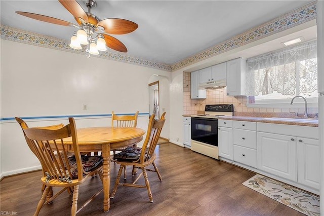 kitchen featuring electric stove, dark wood-style flooring, under cabinet range hood, and a sink