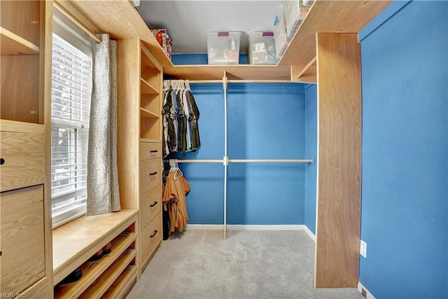 spacious closet with carpet flooring