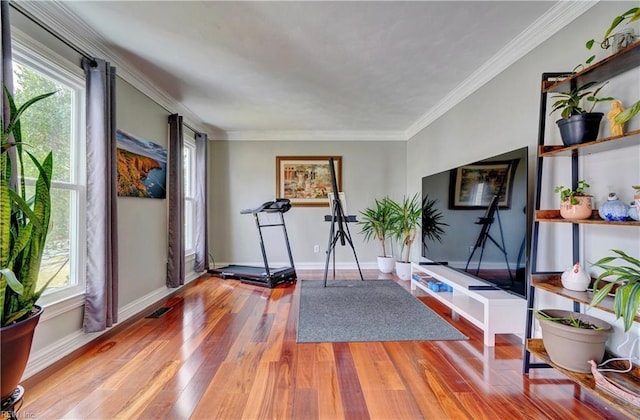 workout area featuring plenty of natural light, wood finished floors, and crown molding