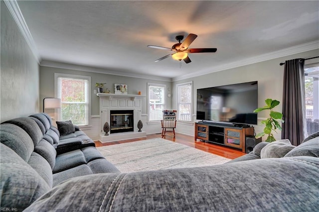 living room featuring a wealth of natural light, a glass covered fireplace, and wood finished floors