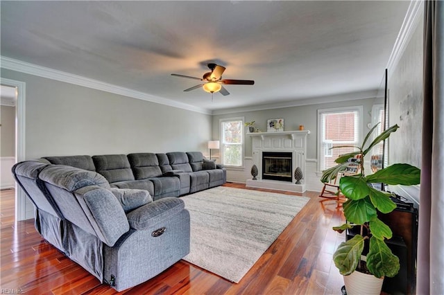 living area featuring a glass covered fireplace, dark wood-type flooring, crown molding, and ceiling fan