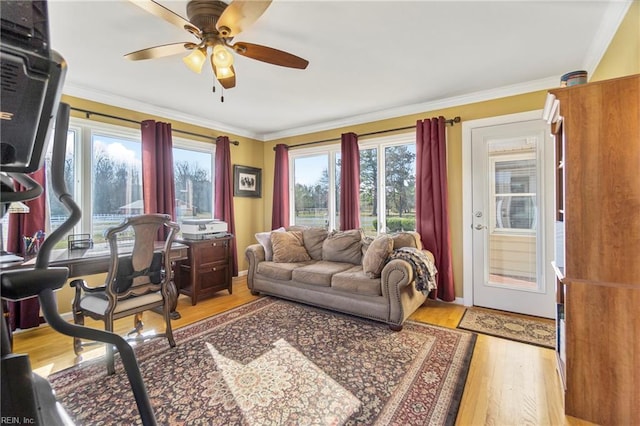 living area with a ceiling fan, light wood-style floors, and crown molding