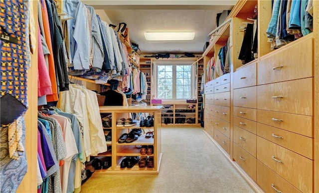 spacious closet featuring carpet