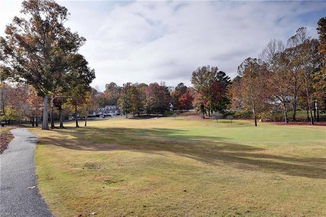 view of community with a lawn