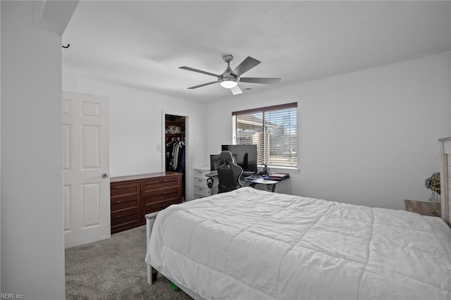 bedroom with a closet, a walk in closet, a ceiling fan, and carpet floors