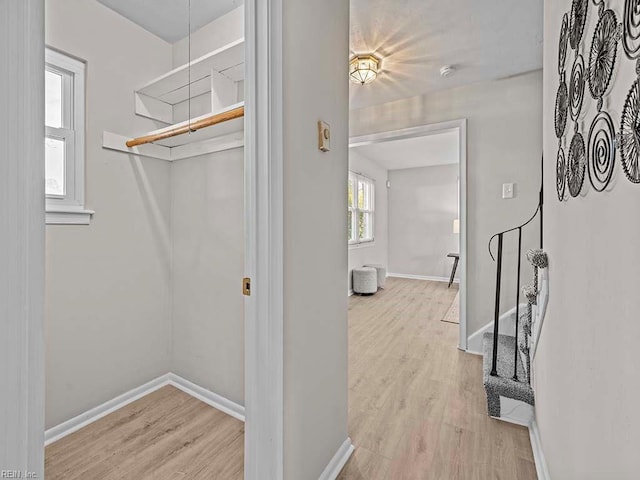 walk in closet featuring wood finished floors