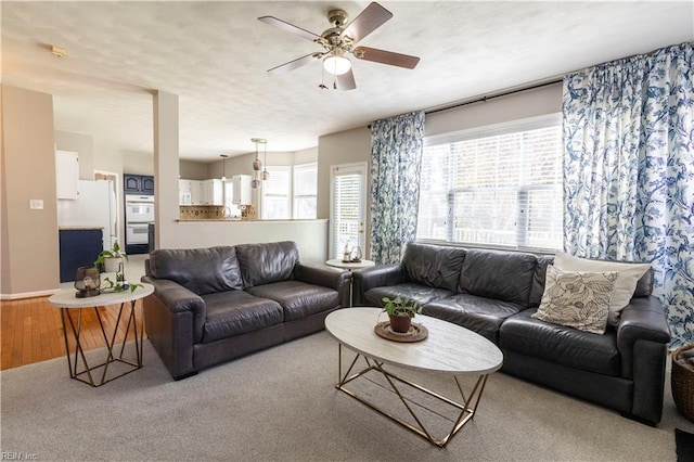 living area featuring wood finished floors and a ceiling fan