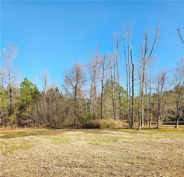 view of yard featuring a forest view