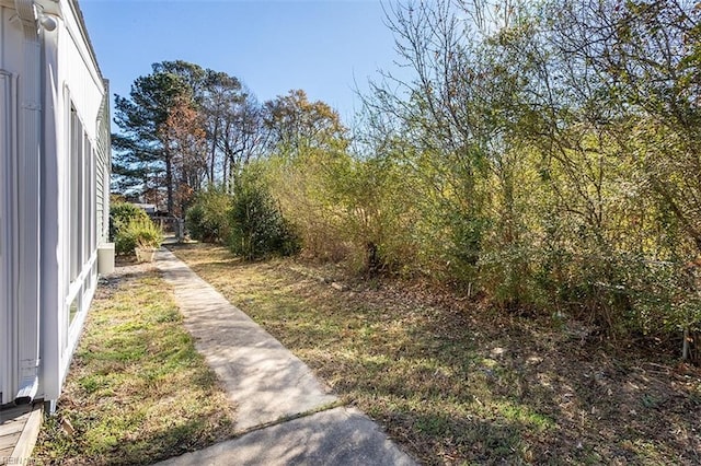view of yard