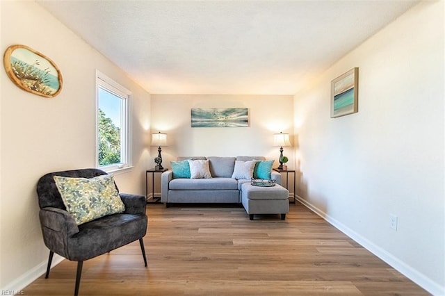 living room featuring wood finished floors, baseboards, and a textured ceiling
