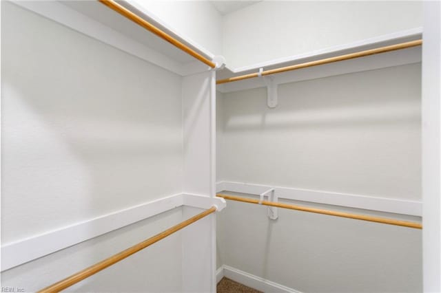 view of walk in closet