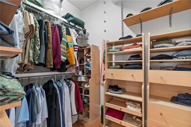 spacious closet with wood finished floors