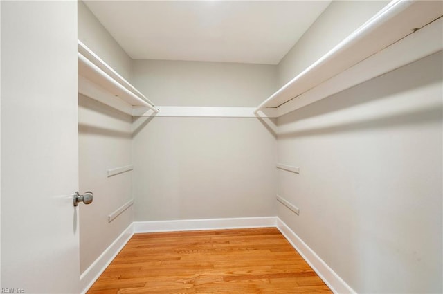 spacious closet with light wood-type flooring