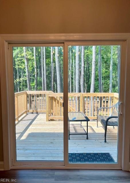 entryway featuring wood finished floors and a wealth of natural light