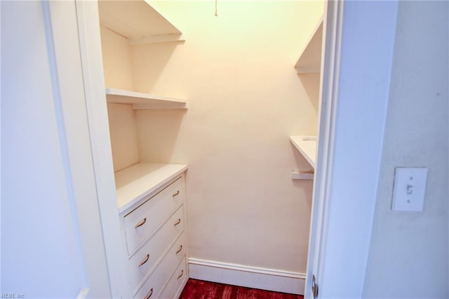 spacious closet with dark wood-type flooring