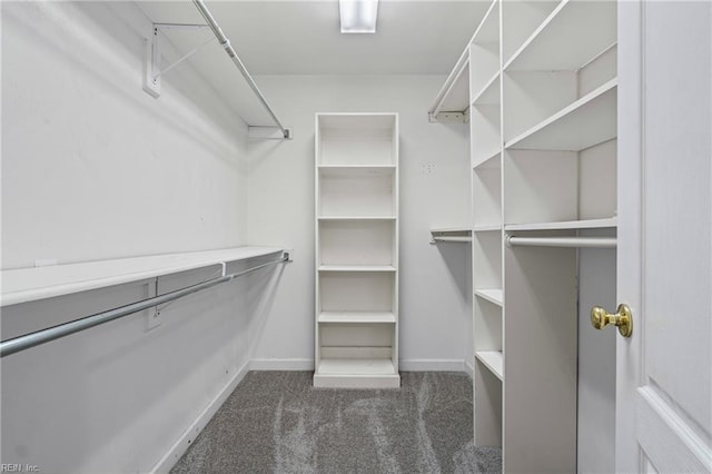 spacious closet with dark colored carpet