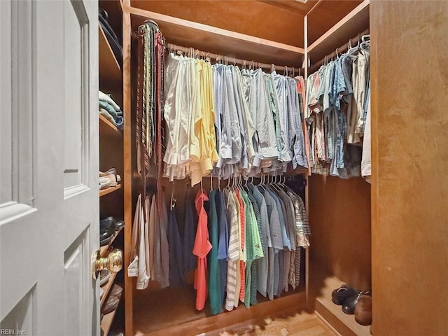 view of walk in closet