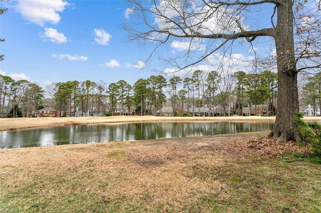 view of water feature