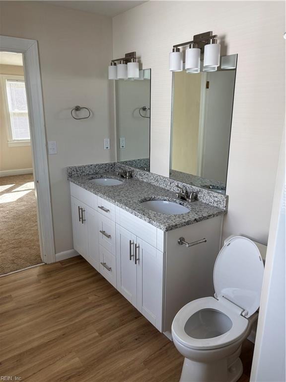 bathroom featuring double vanity, wood finished floors, baseboards, and a sink