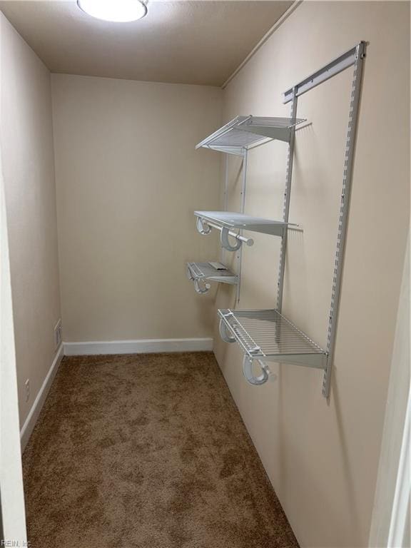 walk in closet with carpet flooring