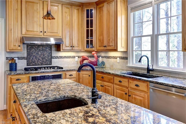 kitchen featuring a sink, dark stone countertops, under cabinet range hood, and stainless steel appliances