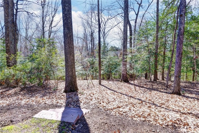 view of yard featuring a wooded view