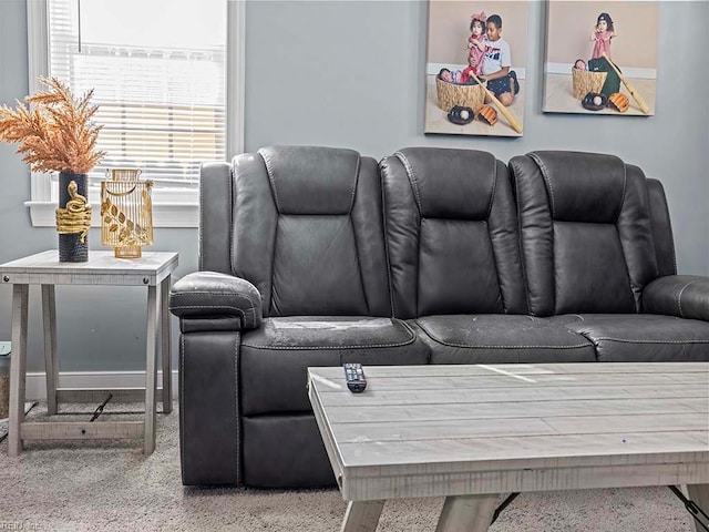 home theater room featuring speckled floor