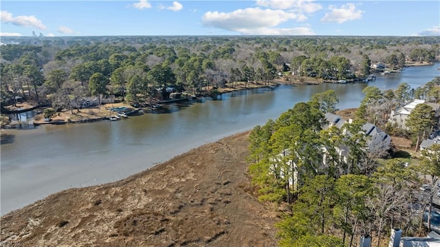 property view of water featuring a forest view