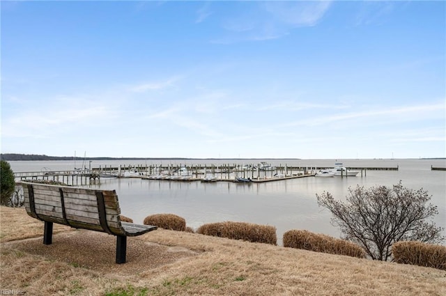 water view featuring a dock