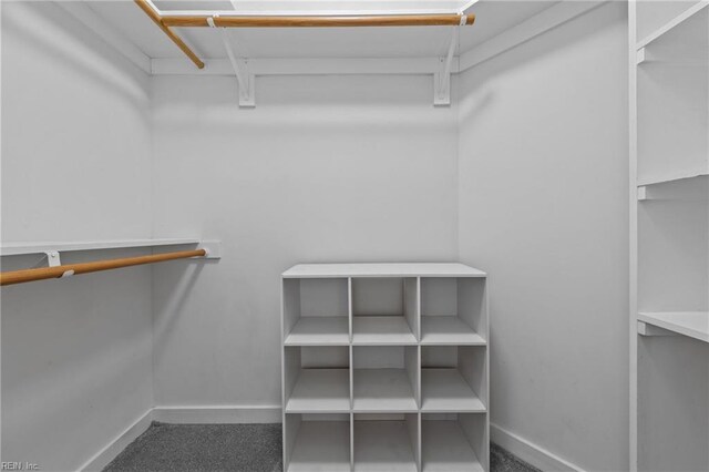 spacious closet with carpet flooring