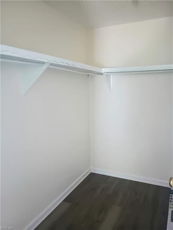 spacious closet featuring dark wood-style flooring