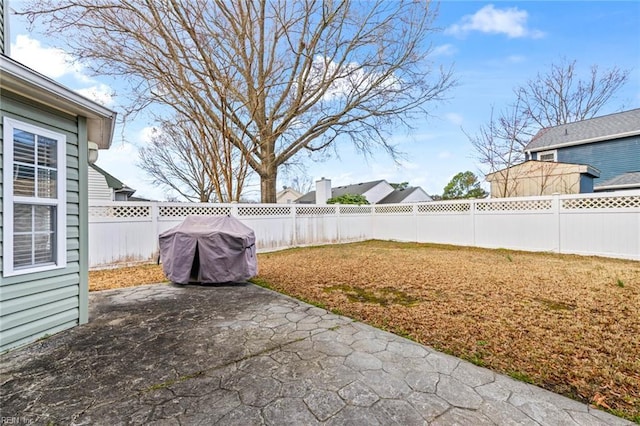 view of yard with a patio and a fenced backyard