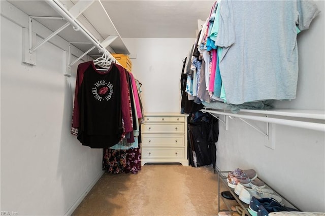 spacious closet with carpet floors