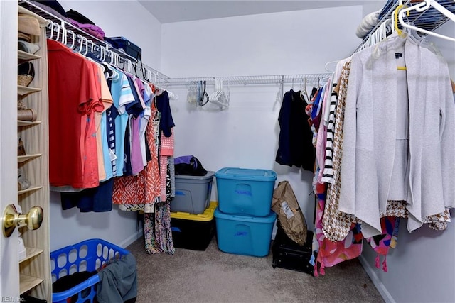 spacious closet with carpet