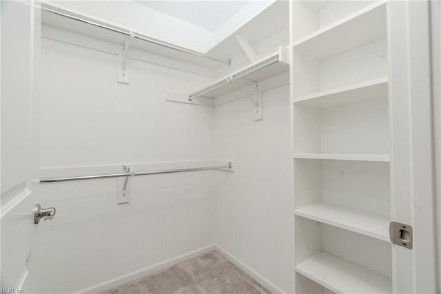 walk in closet with carpet