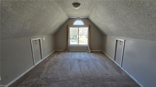 additional living space featuring vaulted ceiling, baseboards, carpet floors, and a textured ceiling