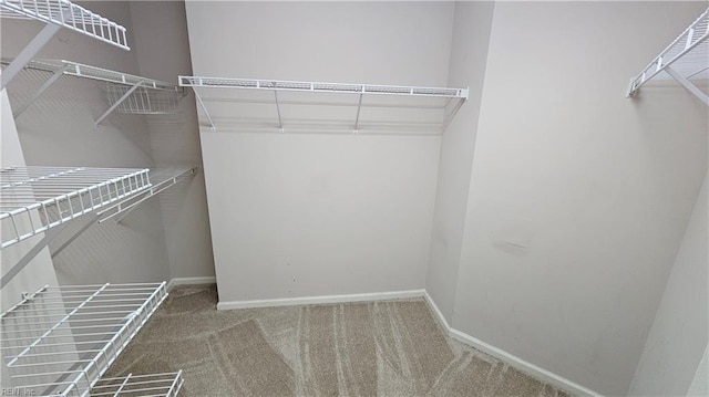 spacious closet with carpet flooring