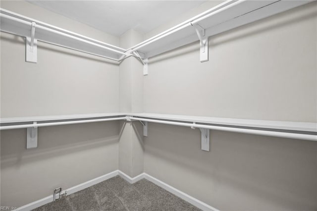 spacious closet with carpet floors