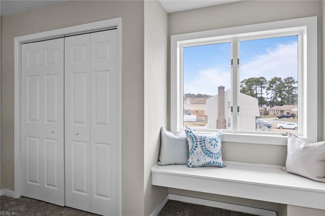 living area featuring baseboards and carpet